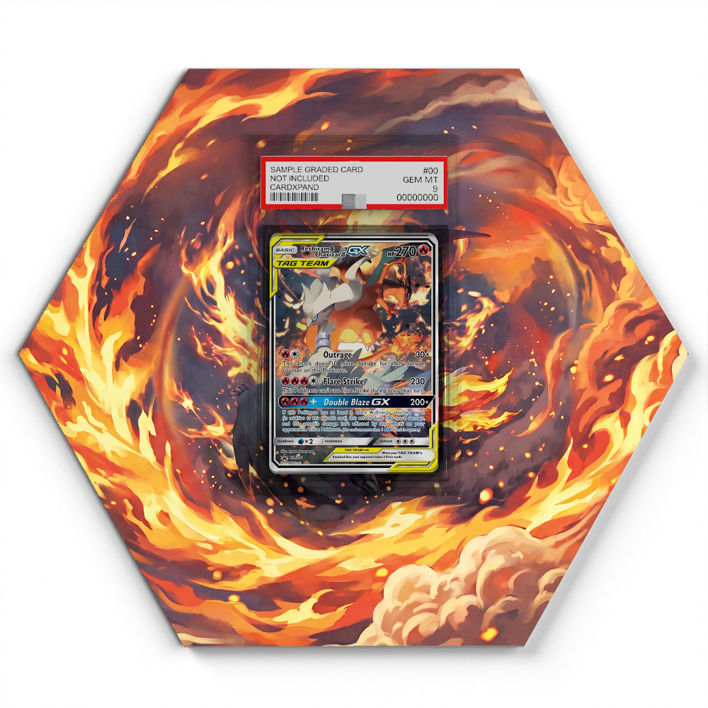 SM201 Reshiram & Charizard GX - Extended Artwork Pokemon Card Display