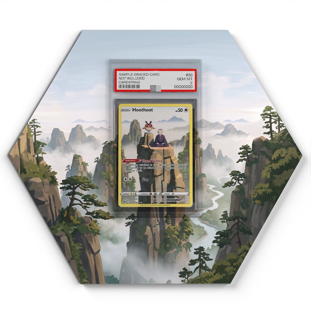 TG12 Hoothoot - Extended Artwork Pokemon Card Display