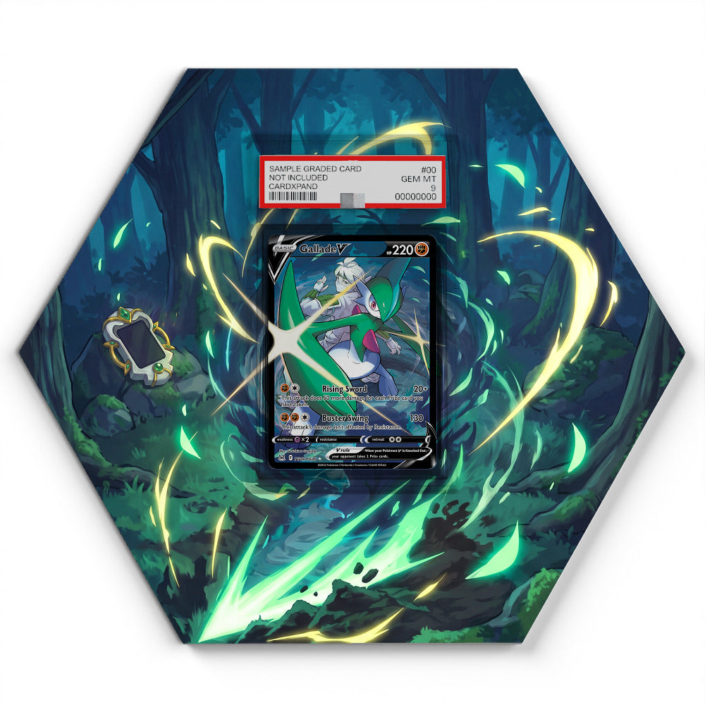 TG19/TG30 Gallade V - Extended Artwork Pokemon Card Display